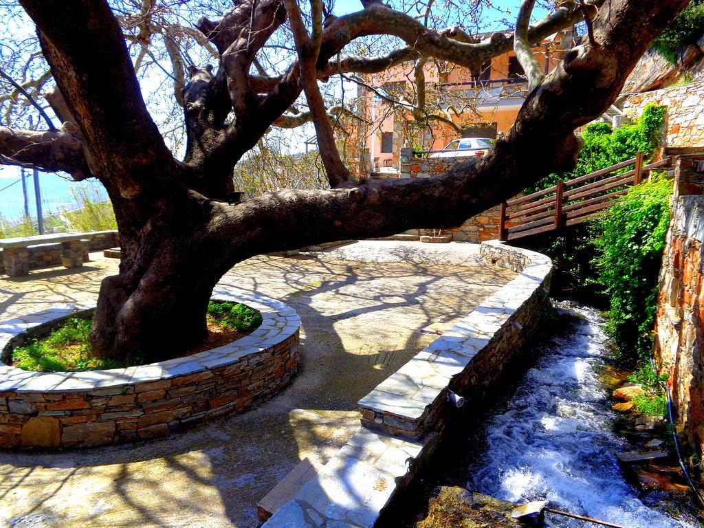 Makronas Apartments Karystos  Buitenkant foto